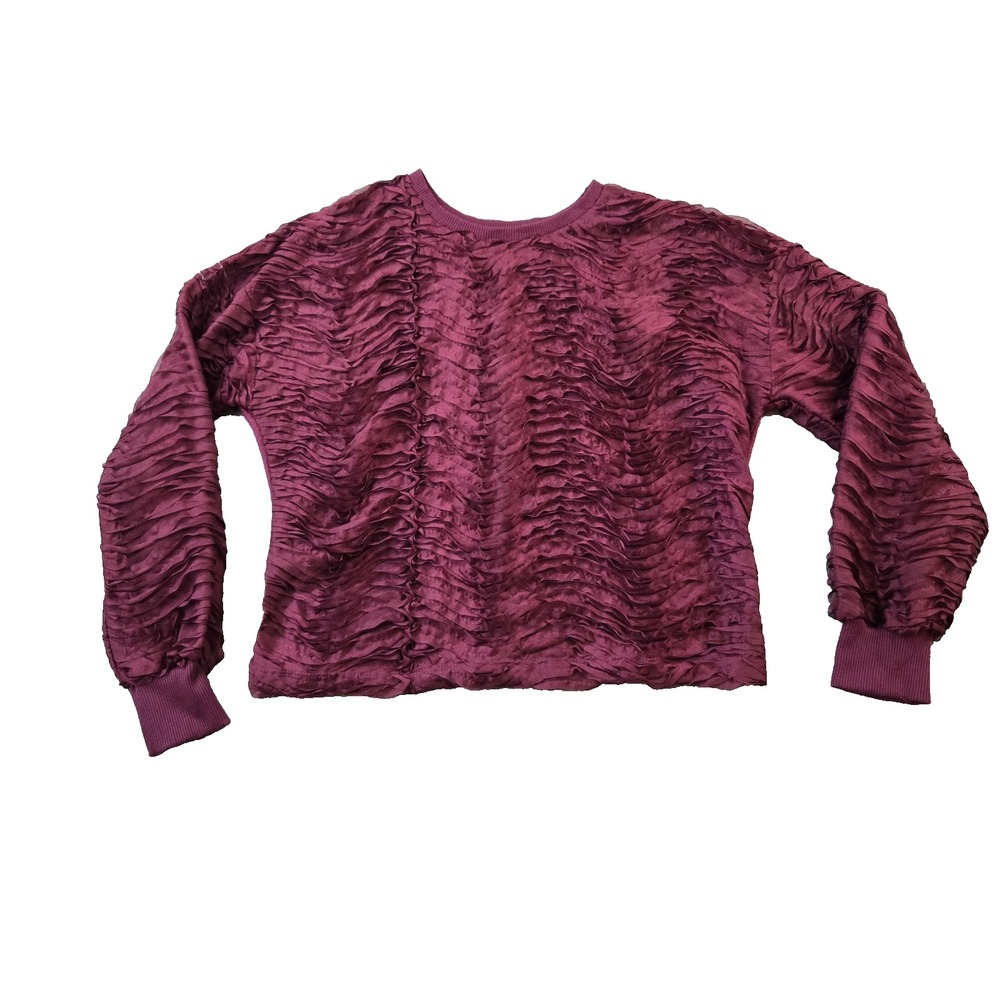 ZARA Women's Top Sheer‎ Plum Organza Ribbons Across Front & Sleeves Size Medium